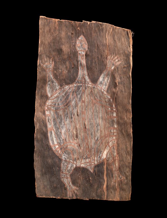 &quot;Old Long Necked Turtle&quot; | MasterArt